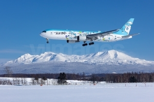Hokkaido International Airlines – Air Do Boeing 767-381(ER) JA607A